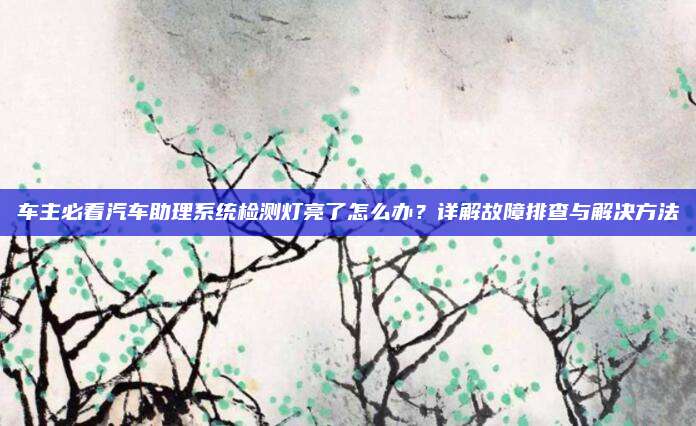 车主必看汽车助理系统检测灯亮了怎么办?详解故障排查与解决方法