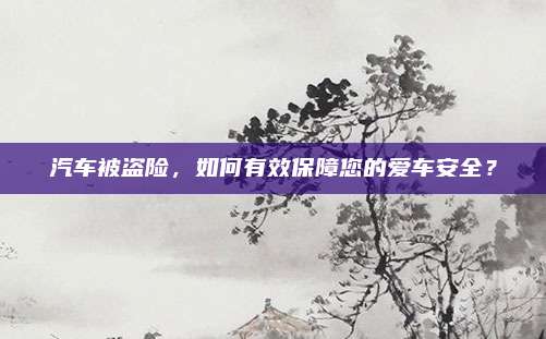 汽车被盗险,如何有效保障您的爱车安全?