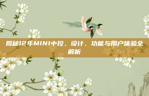 揭秘12年MINI中控，设计、功能与用户体验全解析