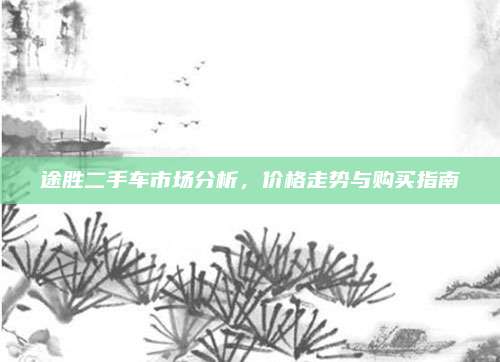 途胜二手车市场分析,价格走势与购买指南
