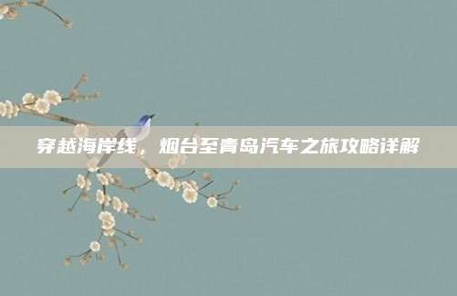 穿越海岸线,烟台至青岛汽车之旅攻略详解