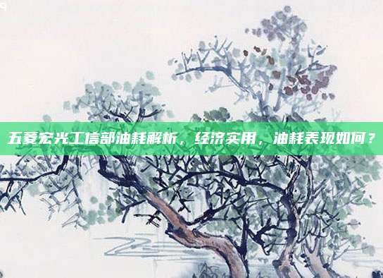 五菱宏光工信部油耗解析,经济实用,油耗表现如何?