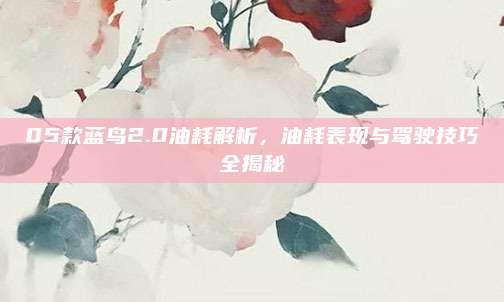 05款蓝鸟2.0油耗解析，油耗表现与驾驶技巧全揭秘