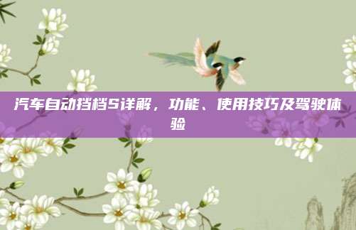汽车自动挡档S详解,功能、使用技巧及驾驶体验