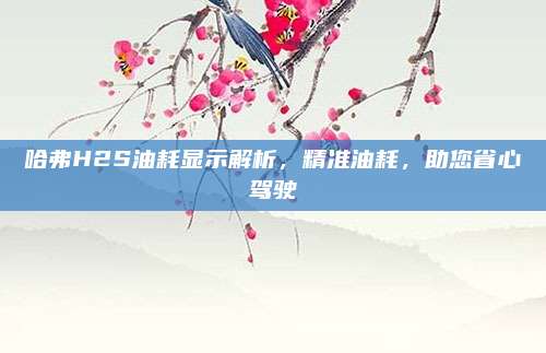 哈弗H2S油耗显示解析,精准油耗,助您省心驾驶