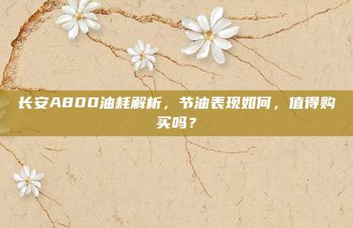 长安A800油耗解析,节油表现如何,值得购买吗?