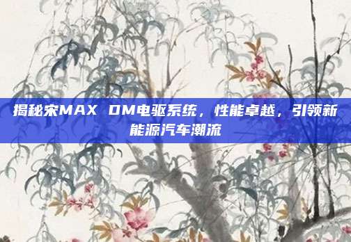 揭秘宋MAX DM电驱系统,性能卓越,引领新能源汽车潮流