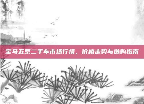 宝马五系二手车市场行情,价格走势与选购指南