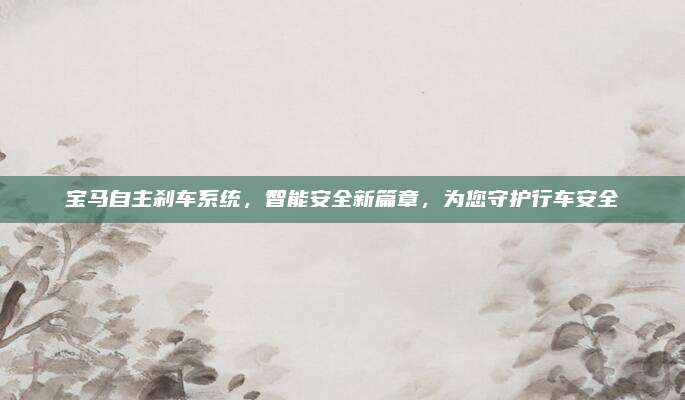 宝马自主刹车系统，智能安全新篇章，为您守护行车安全