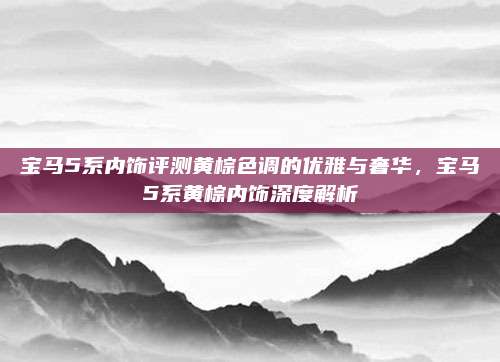 宝马5系内饰评测黄棕色调的优雅与奢华，宝马5系黄棕内饰深度解析