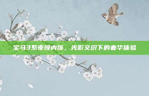 宝马3系夜晚内饰,光影交织下的奢华体验