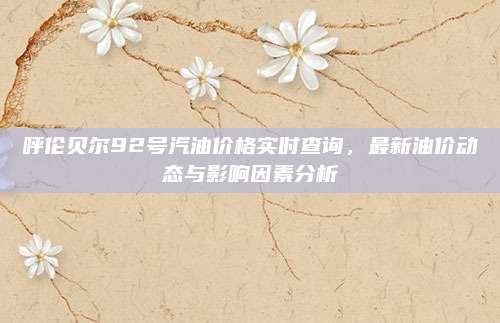 呼伦贝尔92号汽油价格实时查询,最新油价动态与影响因素分析