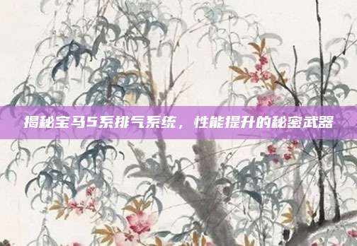 揭秘宝马5系排气系统,性能提升的秘密武器