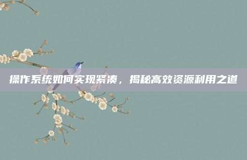 操作系统如何实现紧凑，揭秘高效资源利用之道