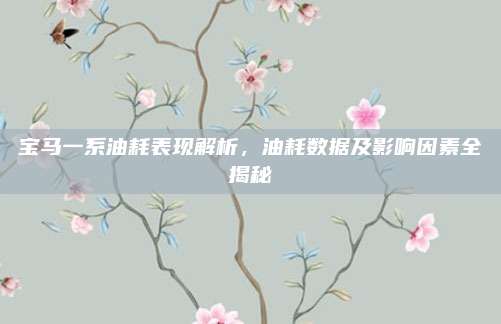 宝马一系油耗表现解析，油耗数据及影响因素全揭秘