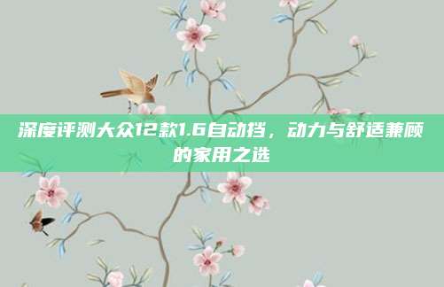深度评测大众12款1.6自动挡,动力与舒适兼顾的家用之选