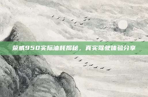 荣威950实际油耗揭秘,真实驾驶体验分享