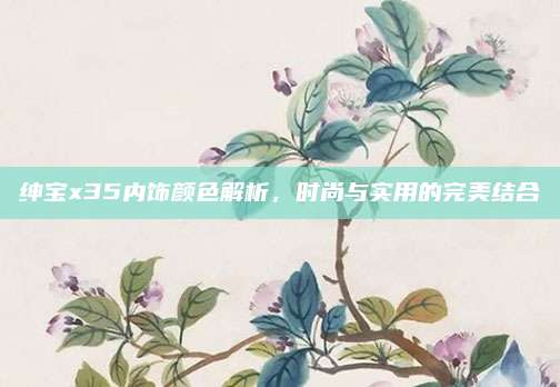 绅宝x35内饰颜色解析,时尚与实用的完美结合