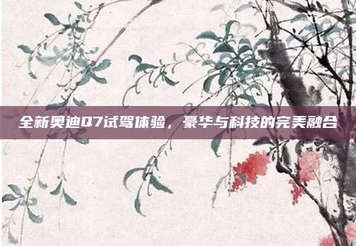 全新奥迪Q7试驾体验,豪华与科技的完美融合