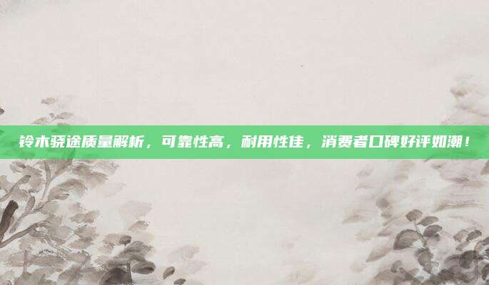 铃木骁途质量解析，可靠性高，耐用性佳，消费者口碑好评如潮！