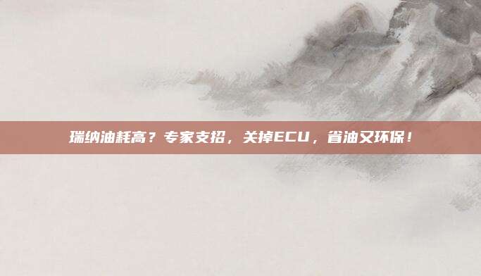 瑞纳油耗高？专家支招，关掉ECU，省油又环保！