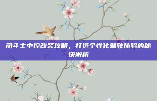角斗士中控改装攻略，打造个性化驾驶体验的秘诀解析