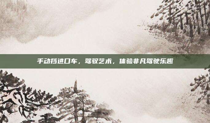 手动挡进口车，驾驭艺术，体验非凡驾驶乐趣