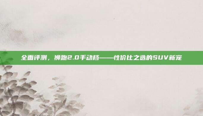 全面评测,狮跑2.0手动档——性价比之选的SUV新宠