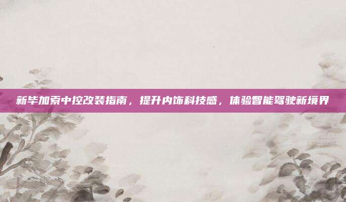 新毕加索中控改装指南,提升内饰科技感,体验智能驾驶新境界