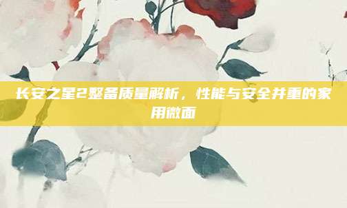 长安之星2整备质量解析,性能与安全并重的家用微面