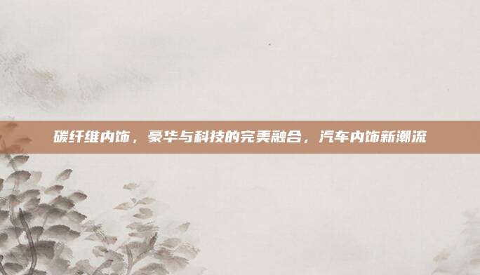 碳纤维内饰,豪华与科技的完美融合,汽车内饰新潮流