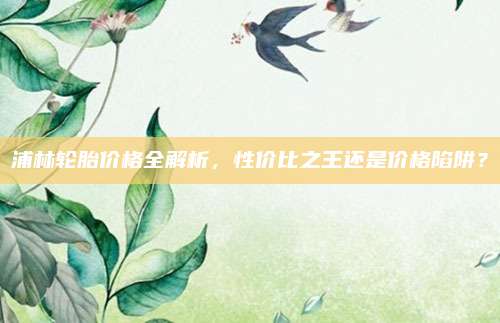 浦林轮胎价格全解析,性价比之王还是价格陷阱?