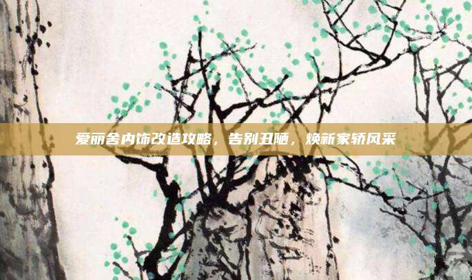 爱丽舍内饰改造攻略，告别丑陋，焕新家轿风采