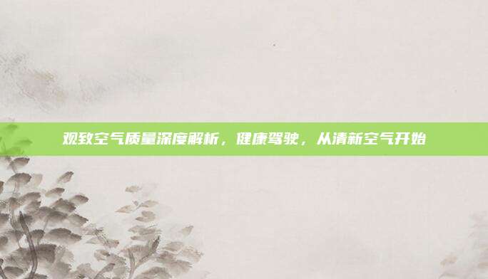 观致空气质量深度解析,健康驾驶,从清新空气开始