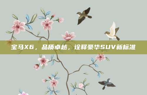 宝马X6,品质卓越,诠释豪华SUV新标准