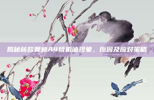 揭秘新款奥迪A4烧机油现象,原因及应对策略
