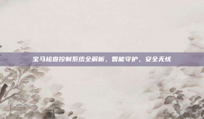 宝马检查控制系统全解析,智能守护,安全无忧