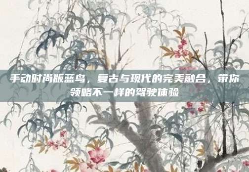 手动时尚版蓝鸟,复古与现代的完美融合,带你领略不一样的驾驶体验