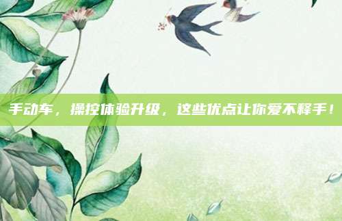 手动车，操控体验升级，这些优点让你爱不释手！