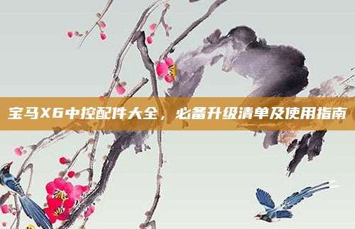 宝马X6中控配件大全，必备升级清单及使用指南