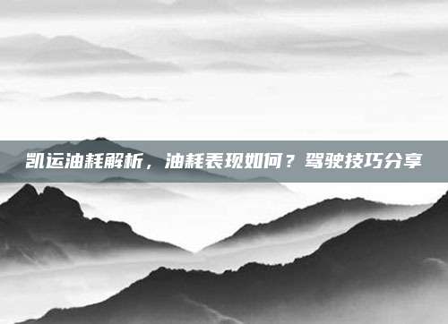 凯运油耗解析,油耗表现如何?驾驶技巧分享