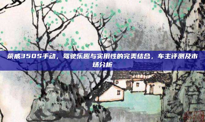 荣威350S手动,驾驶乐趣与实用性的完美结合,车主评测及市场分析
