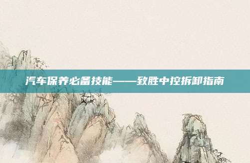 汽车保养必备技能——致胜中控拆卸指南