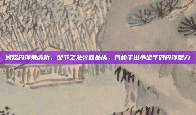致炫内饰条解析，细节之处彰显品质，揭秘丰田小型车的内饰魅力