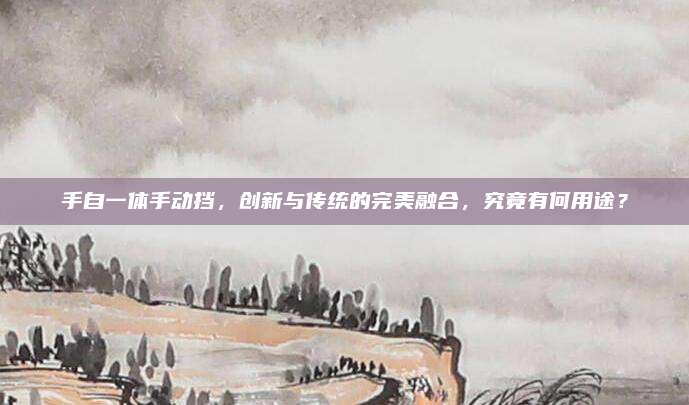 手自一体手动挡,创新与传统的完美融合,究竟有何用途?