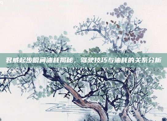 君威起步瞬间油耗揭秘,驾驶技巧与油耗的关系分析