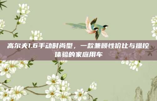 高尔夫1.6手动时尚型,一款兼顾性价比与操控体验的家庭用车