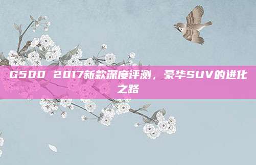 G500 2017新款深度评测,豪华SUV的进化之路