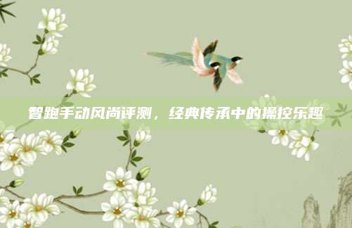 智跑手动风尚评测,经典传承中的操控乐趣