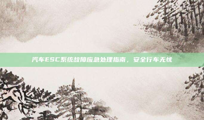 汽车ESC系统故障应急处理指南,安全行车无忧